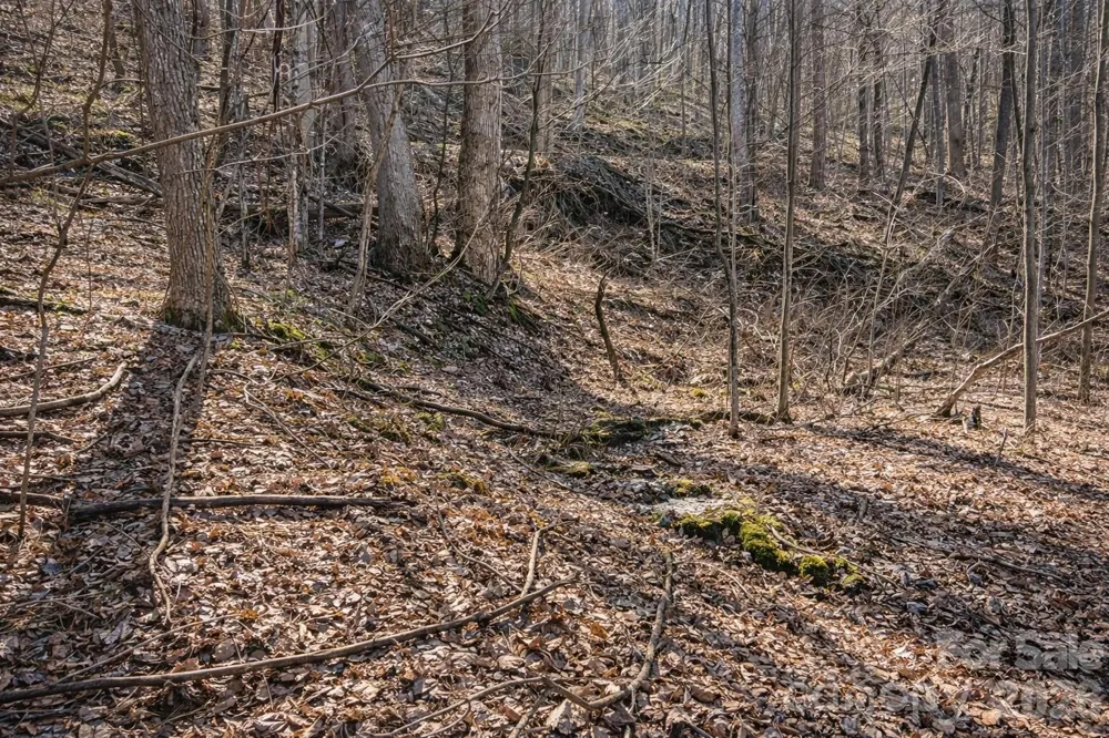 4 Buckeye Road #63 Maggie Valley, NC 28751