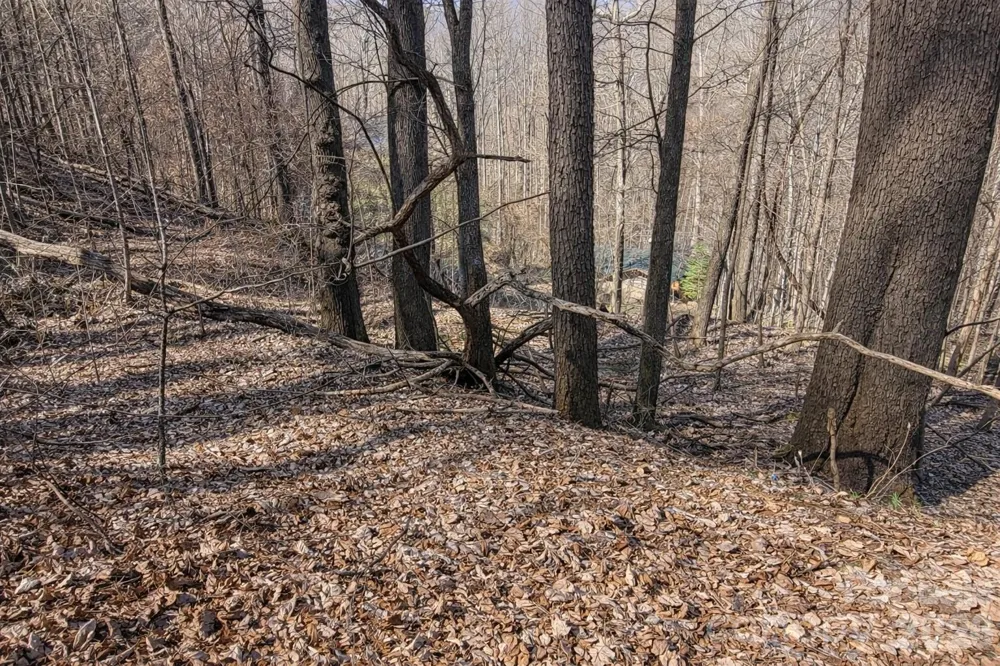 4 Buckeye Road #63 Maggie Valley, NC 28751