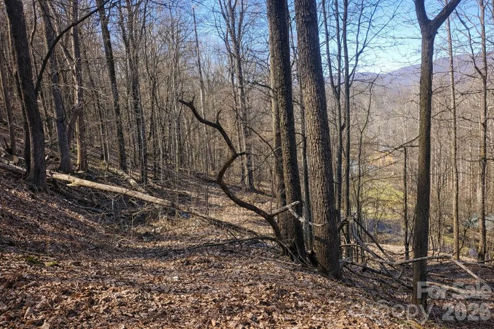4 Buckeye Road #63 Maggie Valley, NC 28751