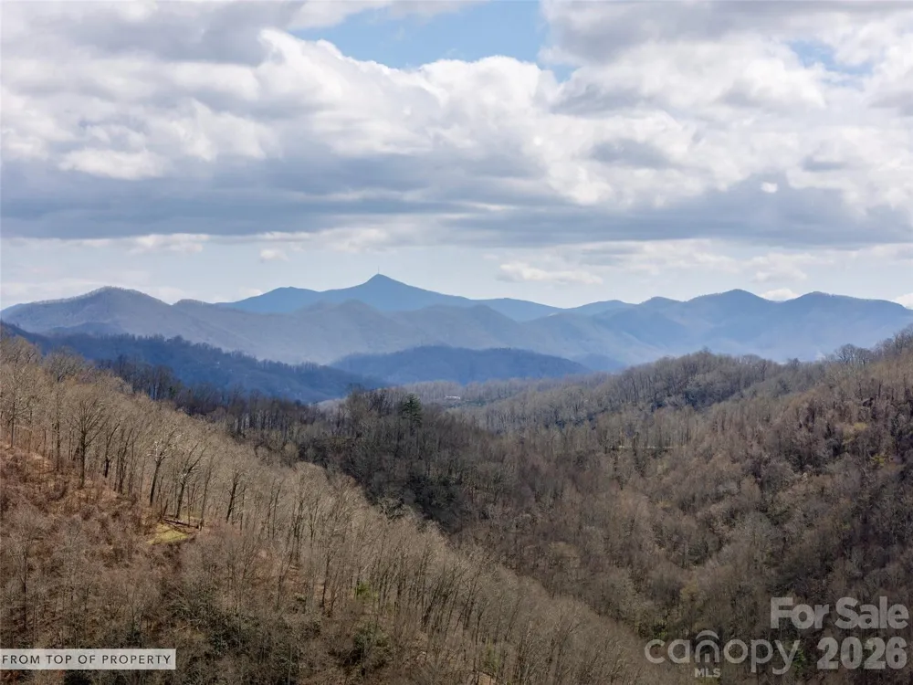 TBD Wilson Cove Road Canton, NC 28716