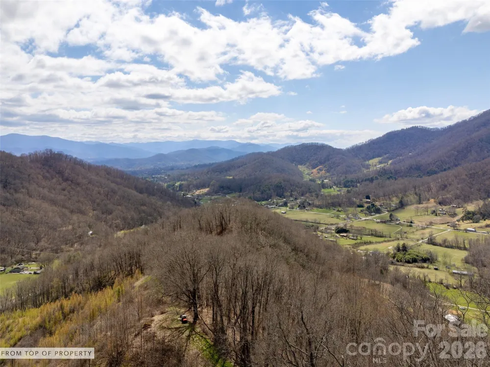 TBD Wilson Cove Road Canton, NC 28716
