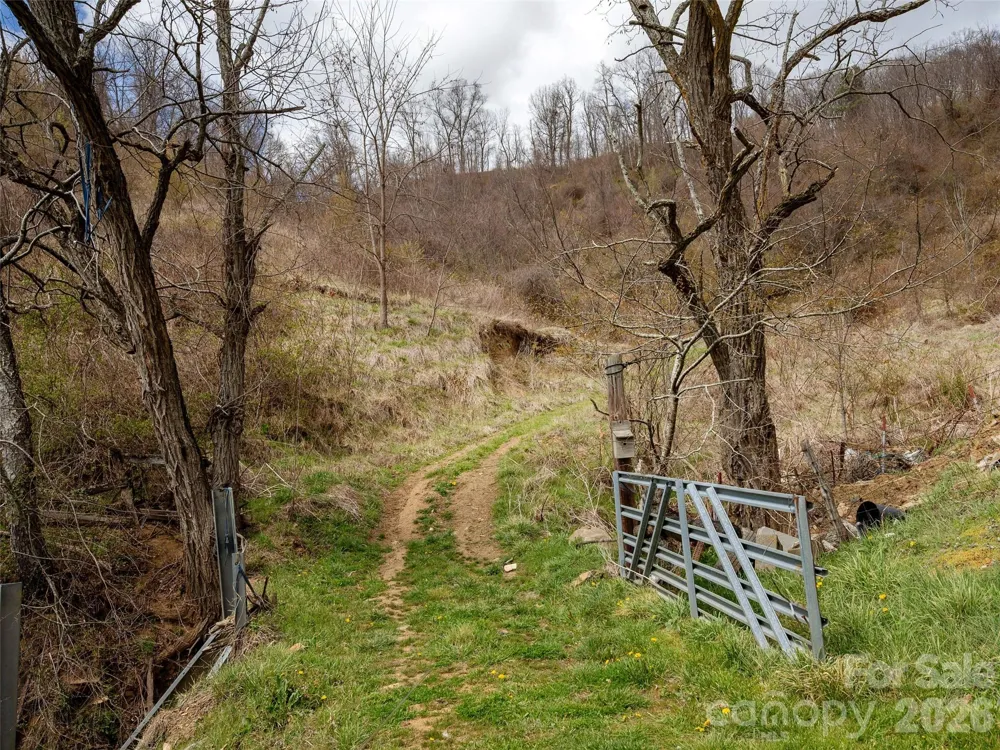 TBD Wilson Cove Road Canton, NC 28716