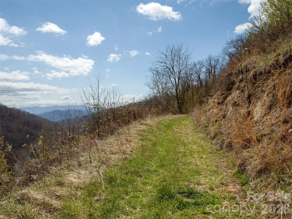TBD Wilson Cove Road Canton, NC 28716