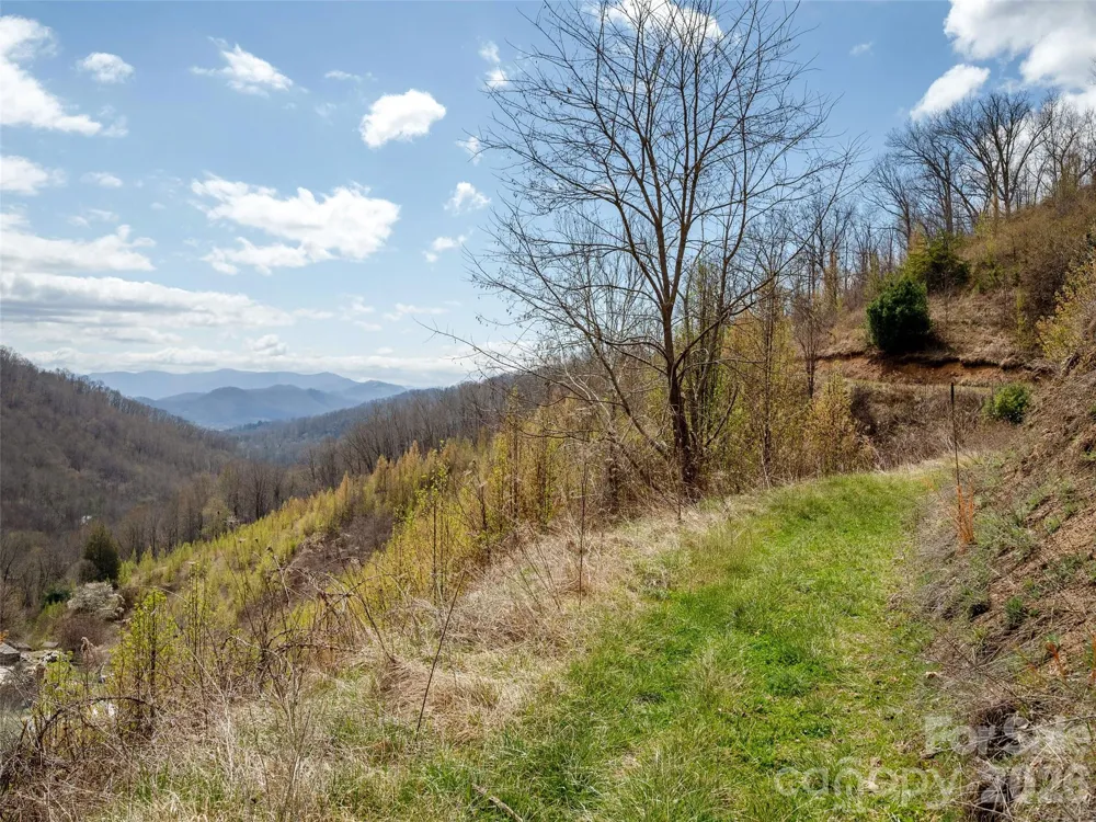TBD Wilson Cove Road Canton, NC 28716