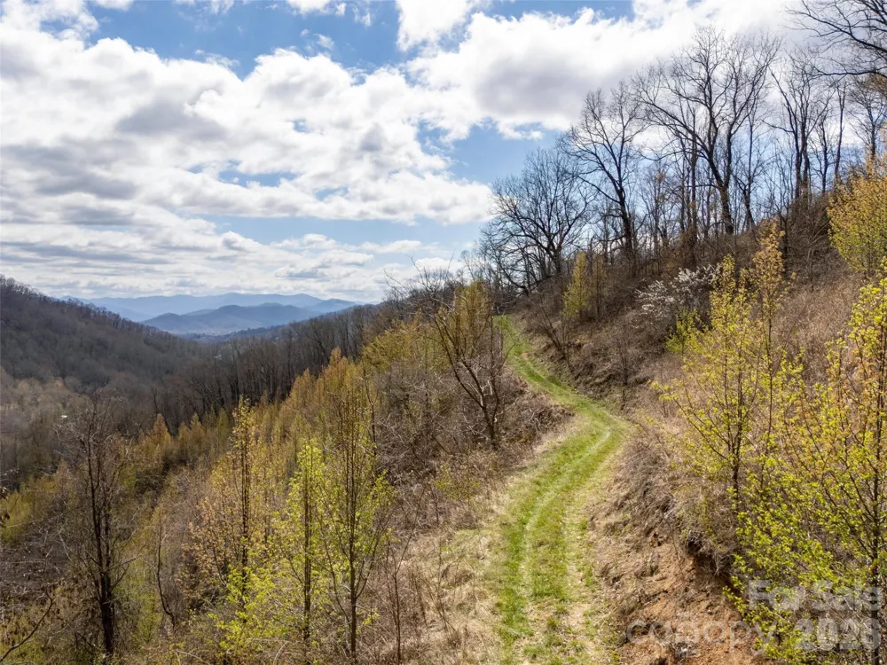 TBD Wilson Cove Road Canton, NC 28716