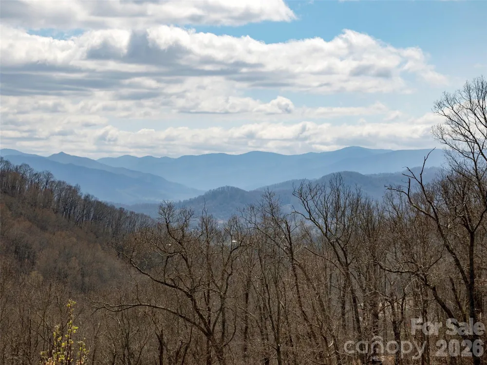 TBD Wilson Cove Road Canton, NC 28716