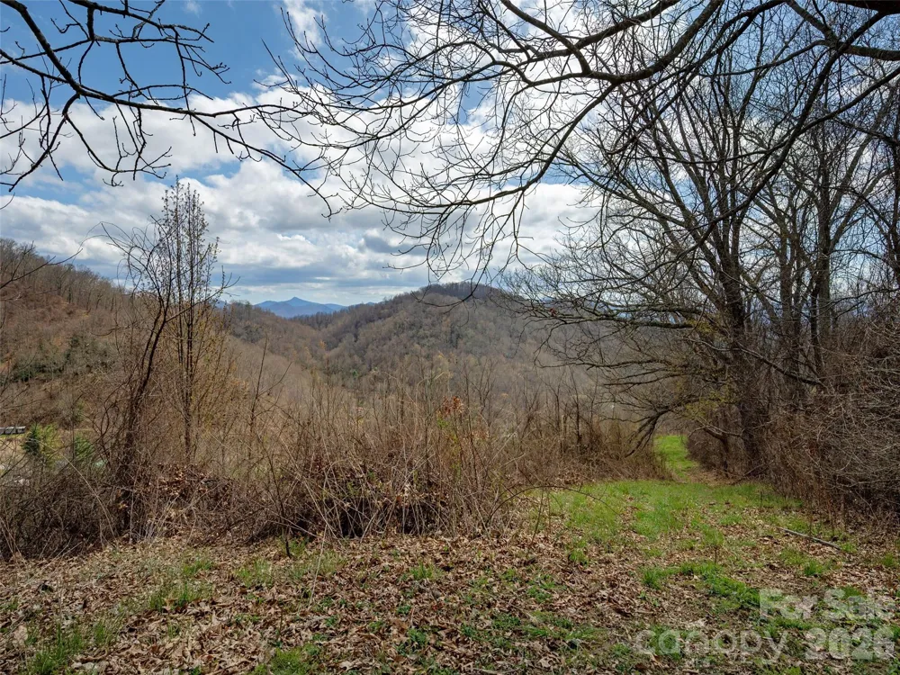 TBD Wilson Cove Road Canton, NC 28716