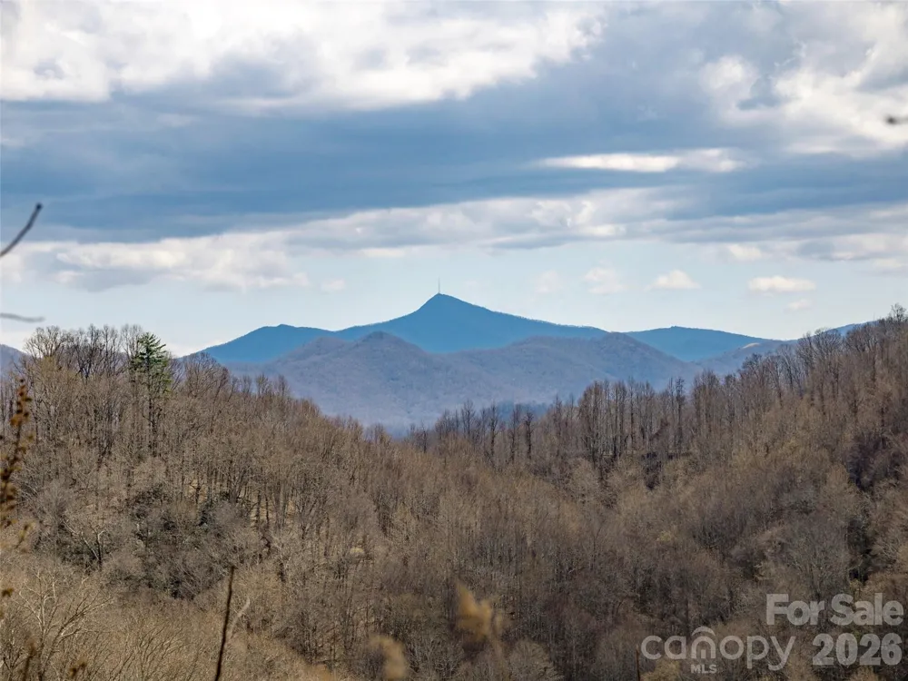 TBD Wilson Cove Road Canton, NC 28716