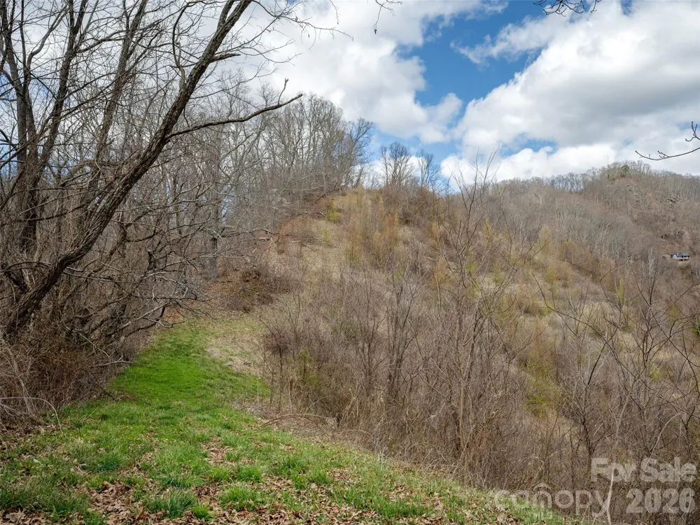 TBD Wilson Cove Road Canton, NC 28716