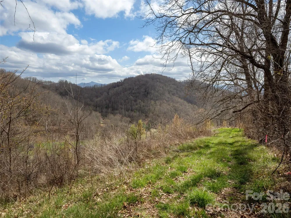 TBD Wilson Cove Road Canton, NC 28716
