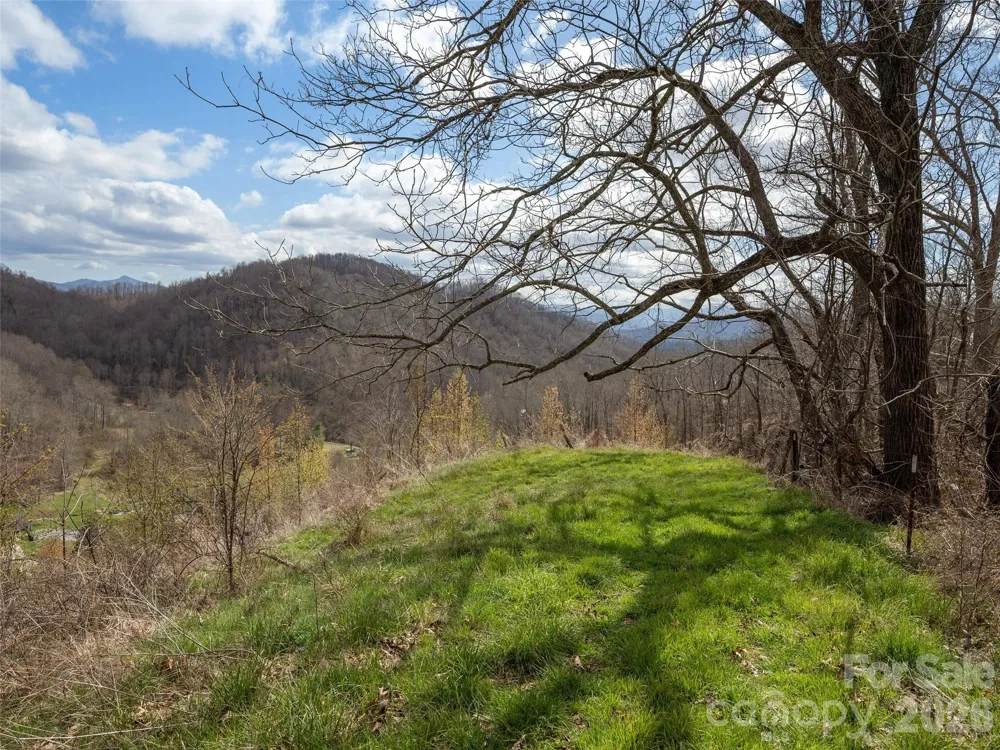 TBD Wilson Cove Road Canton, NC 28716