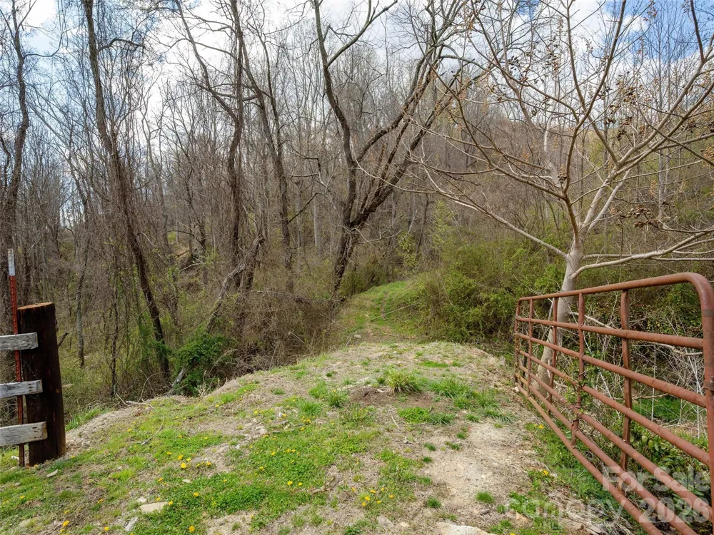 TBD Wilson Cove Road Canton, NC 28716