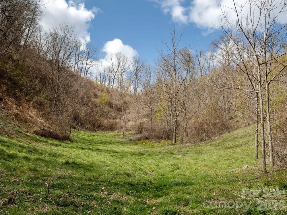 TBD Wilson Cove Road Canton, NC 28716
