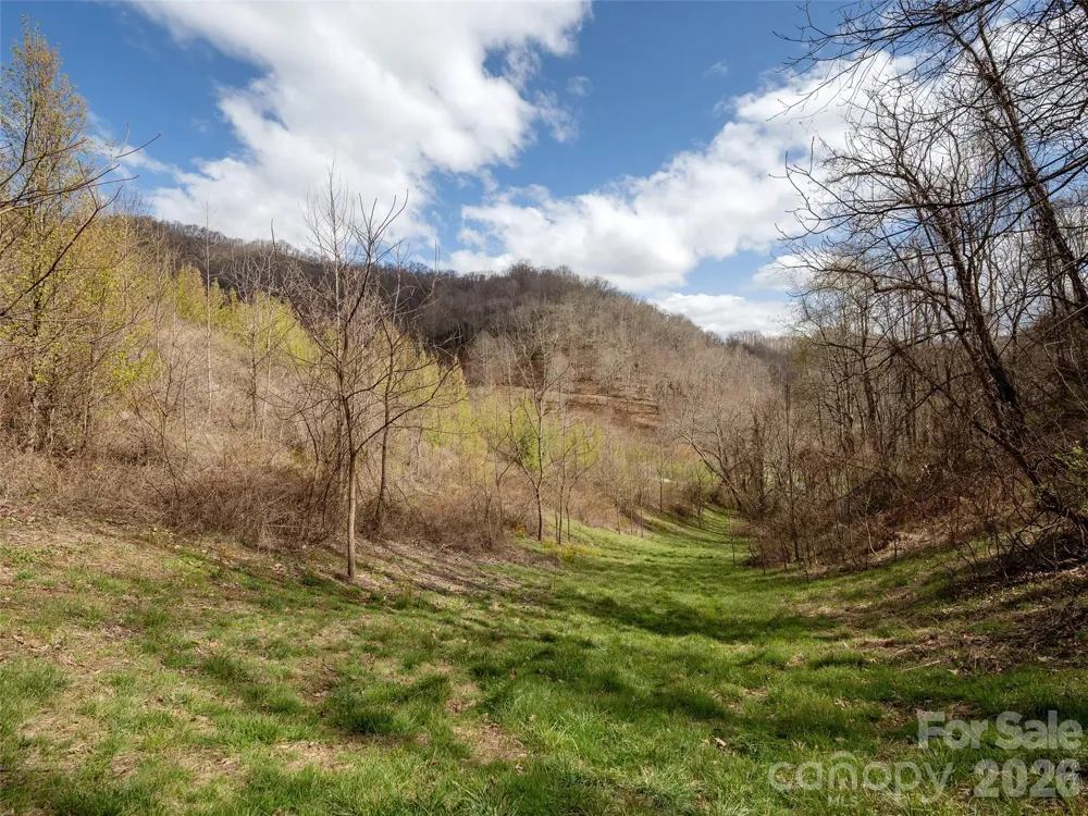 TBD Wilson Cove Road Canton, NC 28716