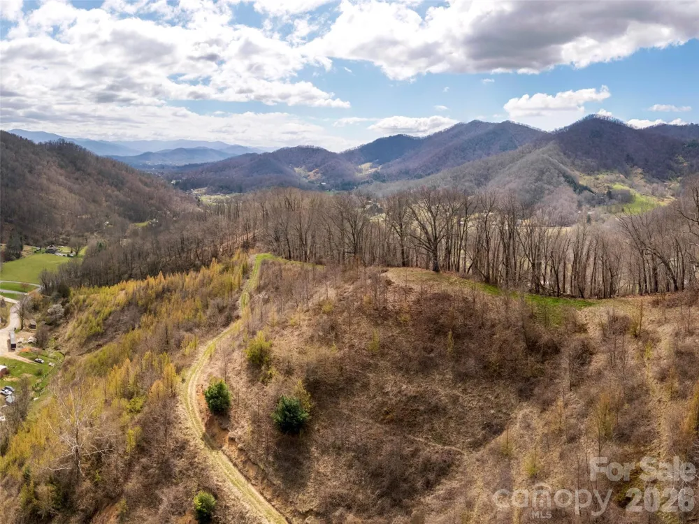 TBD Wilson Cove Road Canton, NC 28716