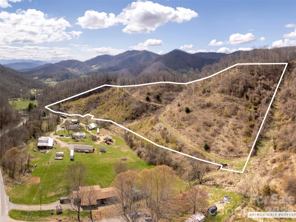 TBD Wilson Cove Road Canton, NC 28716