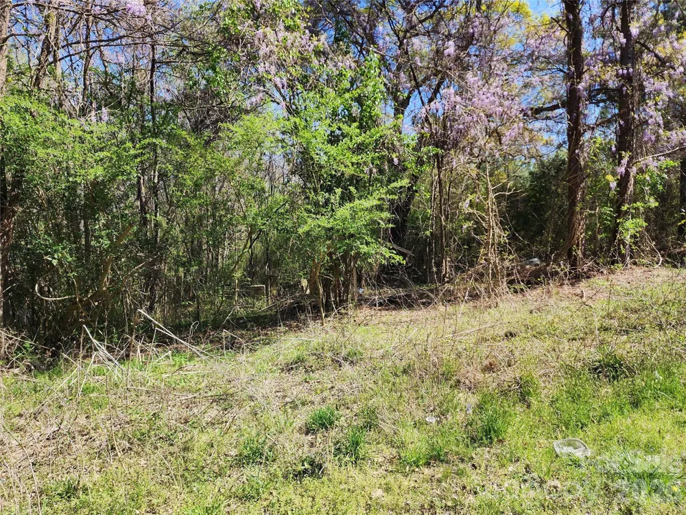 5618 Brooklyn Road Great Falls, SC 29055