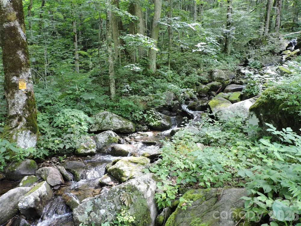 103 Chucks Lane Bakersville, NC 28705