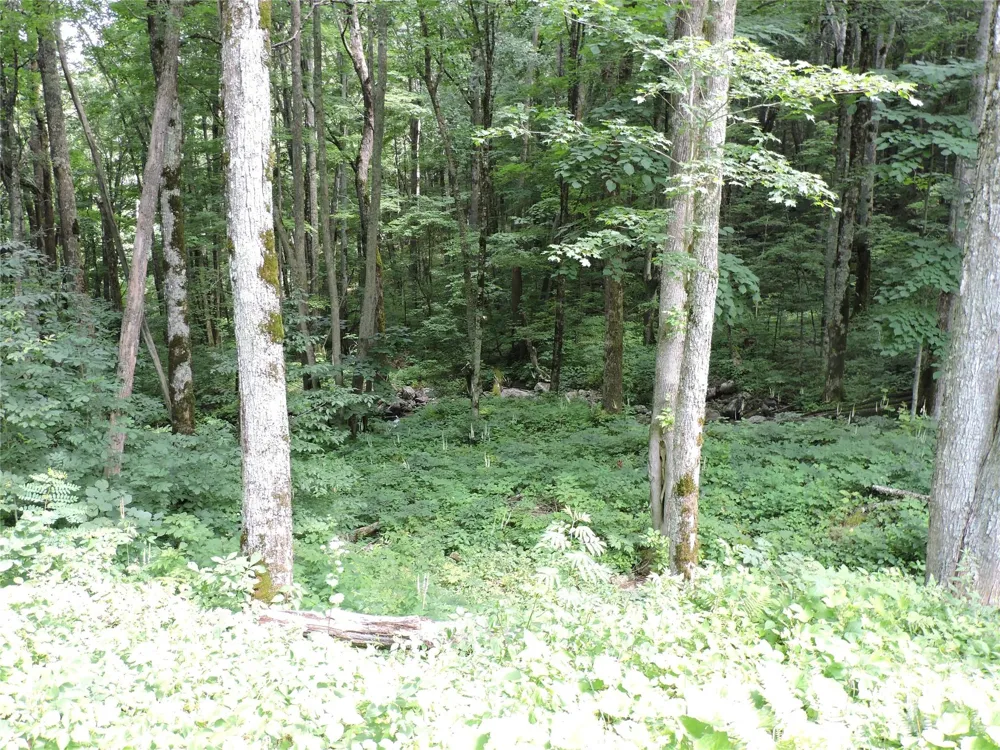 103 Chucks Lane Bakersville, NC 28705