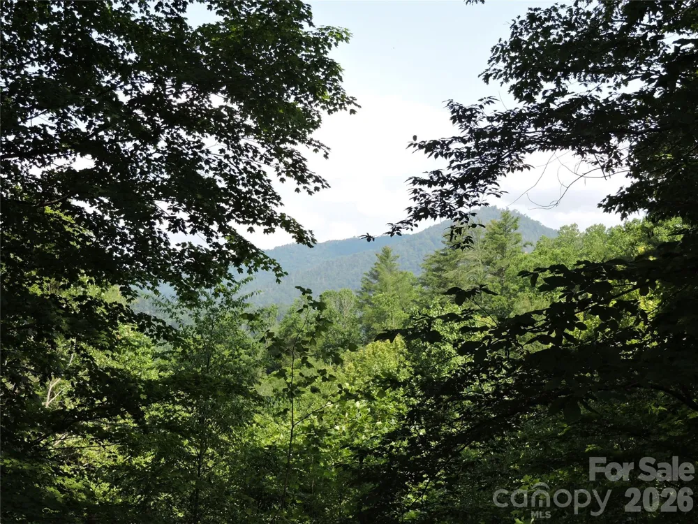 103 Chucks Lane Bakersville, NC 28705