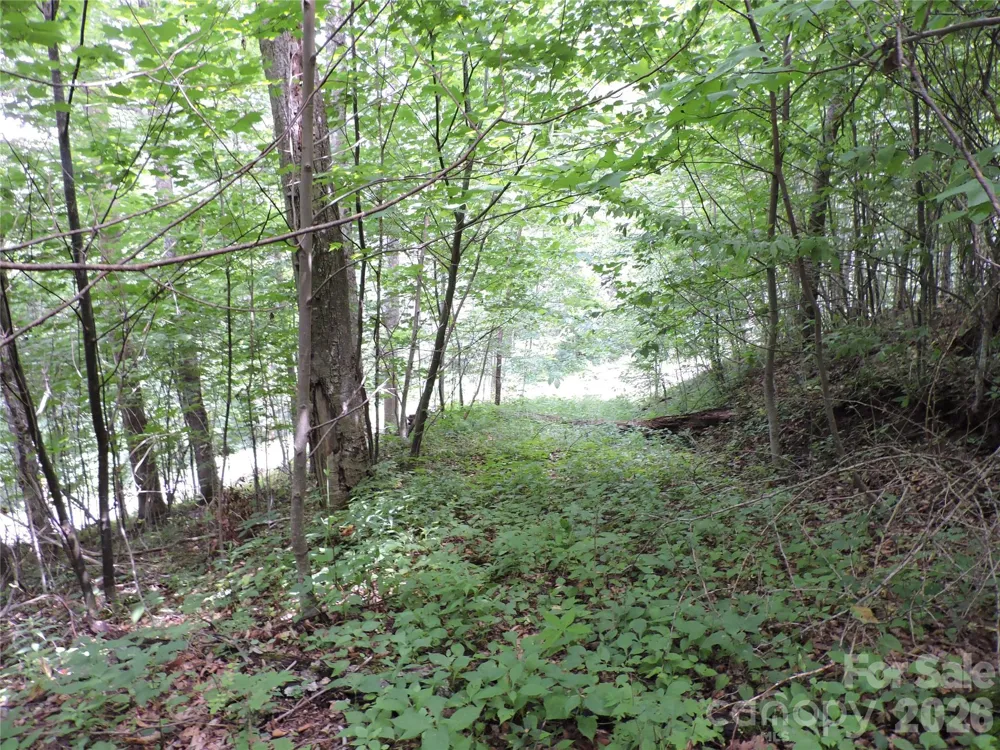 103 Chucks Lane Bakersville, NC 28705