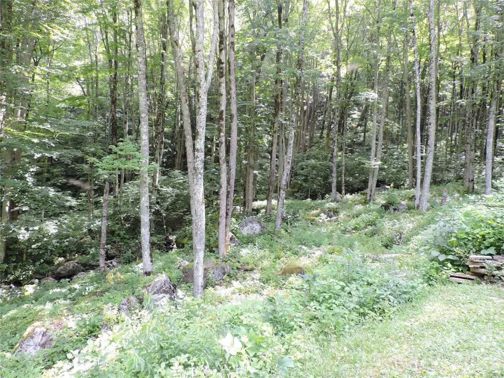103 Chucks Lane Bakersville, NC 28705