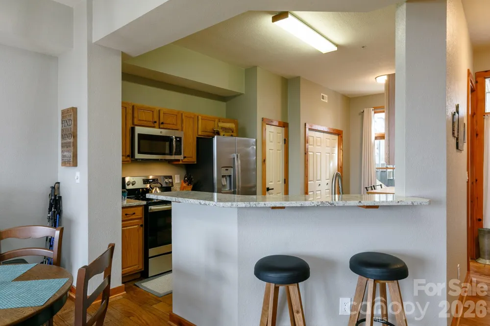 10 Stoney Falls Loop #4/203 Burnsville, NC 28714