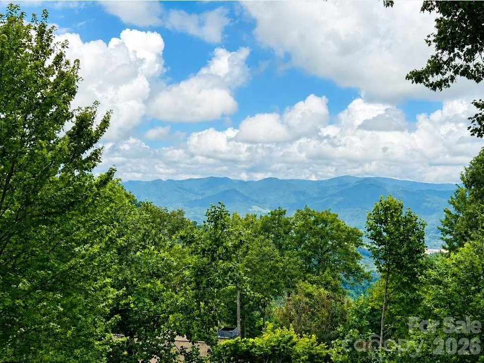 10 Stoney Falls Loop #4/203 Burnsville, NC 28714