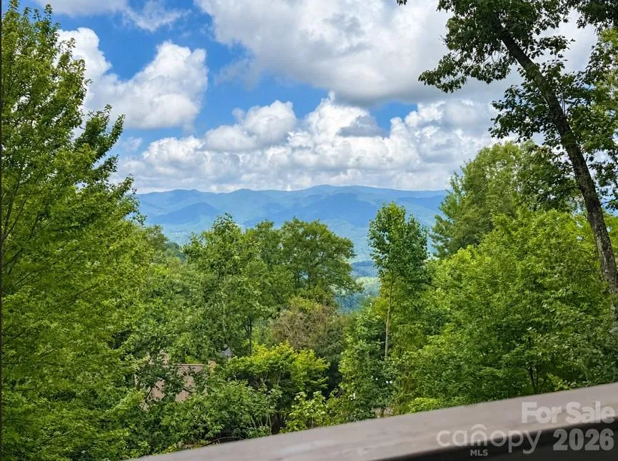 10 Stoney Falls Loop #4/203 Burnsville, NC 28714