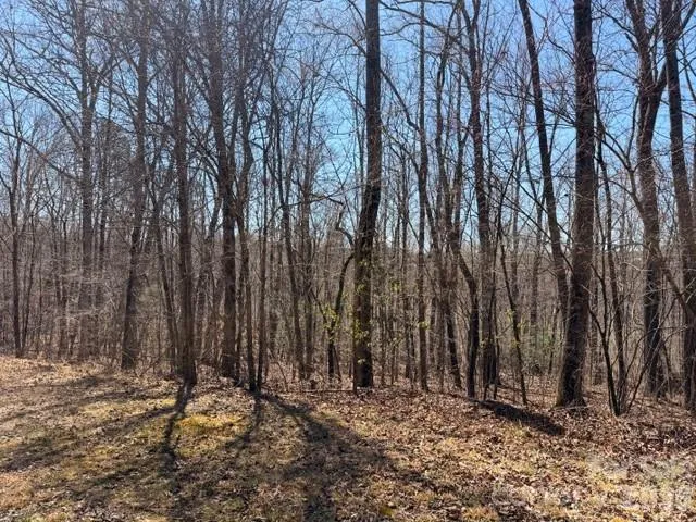 659 Bent Creek Drive #35 Nebo, NC 28761