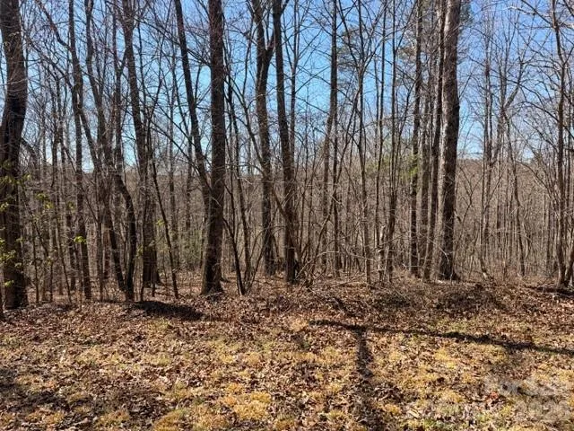 659 Bent Creek Drive #35 Nebo, NC 28761