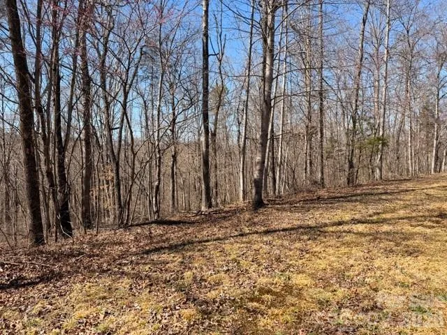659 Bent Creek Drive #35 Nebo, NC 28761