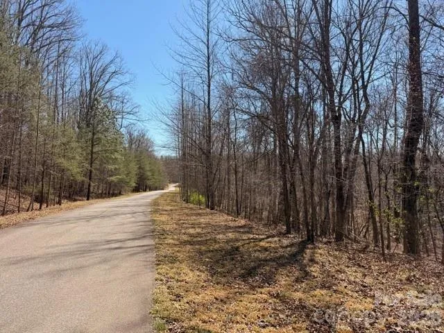 659 Bent Creek Drive #35 Nebo, NC 28761