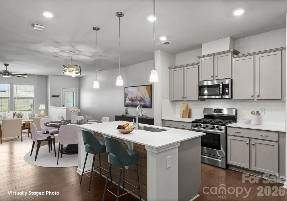 19722 Elise Caroline Alley Davidson, NC 28036
