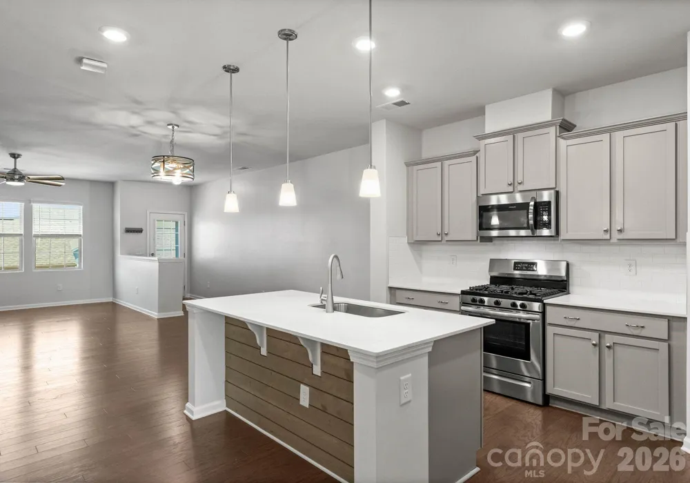 19722 Elise Caroline Alley Davidson, NC 28036