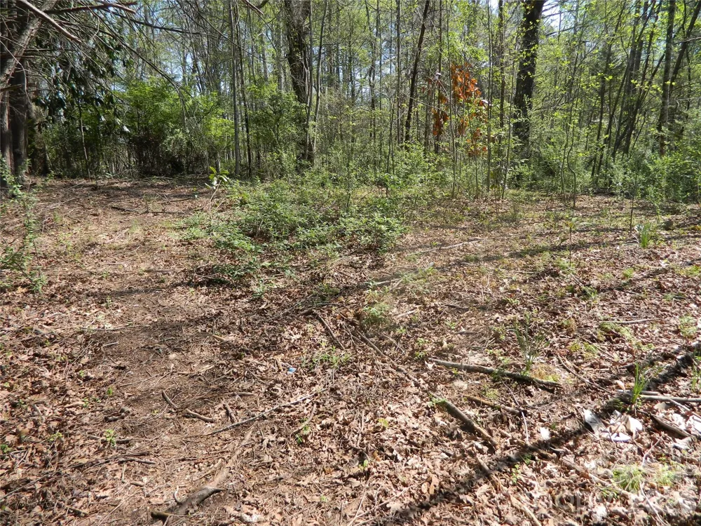 1329 Overlook Drive SW Lenoir, NC 28645