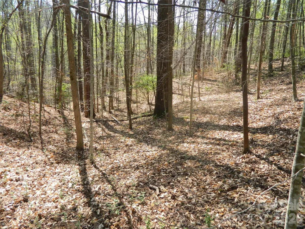 1329 Overlook Drive SW Lenoir, NC 28645