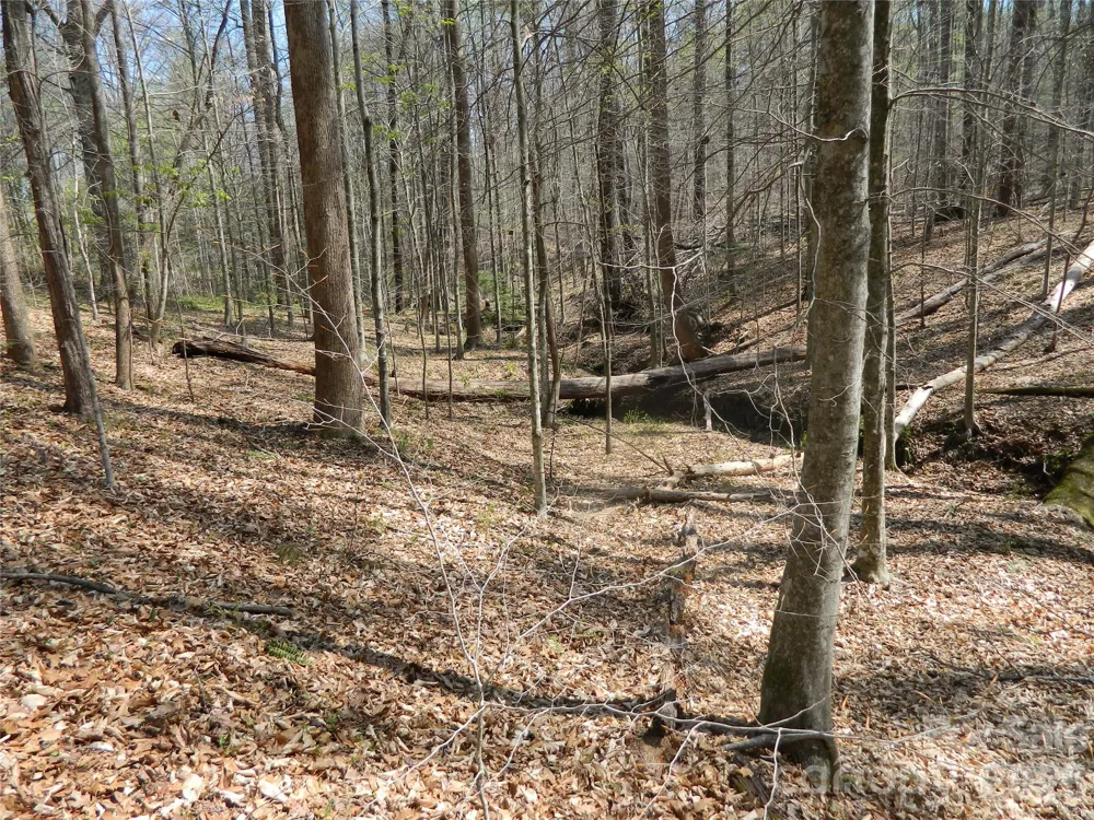 1329 Overlook Drive SW Lenoir, NC 28645
