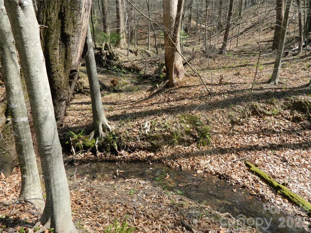 1329 Overlook Drive SW Lenoir, NC 28645