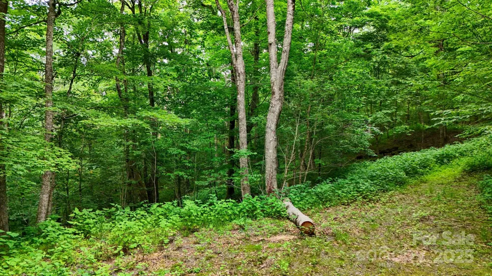 233 Woodland Springs Trail #14 Boone, NC 28607