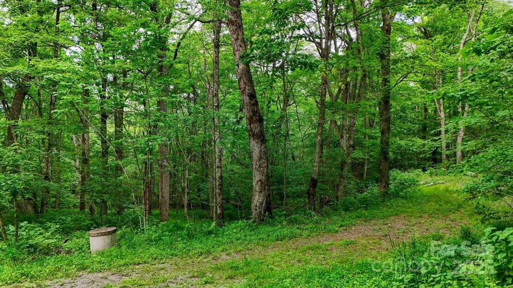 233 Woodland Springs Trail #14 Boone, NC 28607