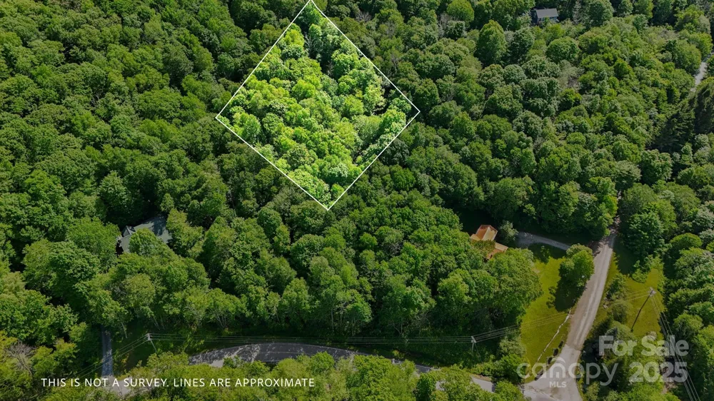 233 Woodland Springs Trail #14 Boone, NC 28607