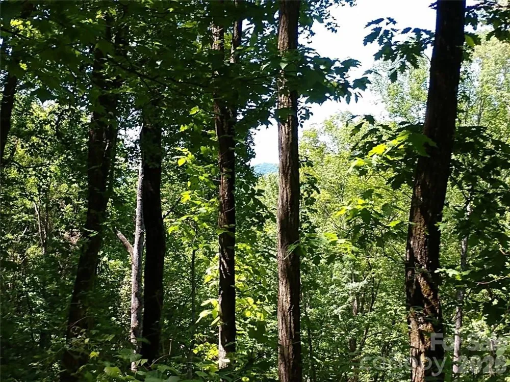00 Hudson Valley Drive #11 Waynesville, NC 28786