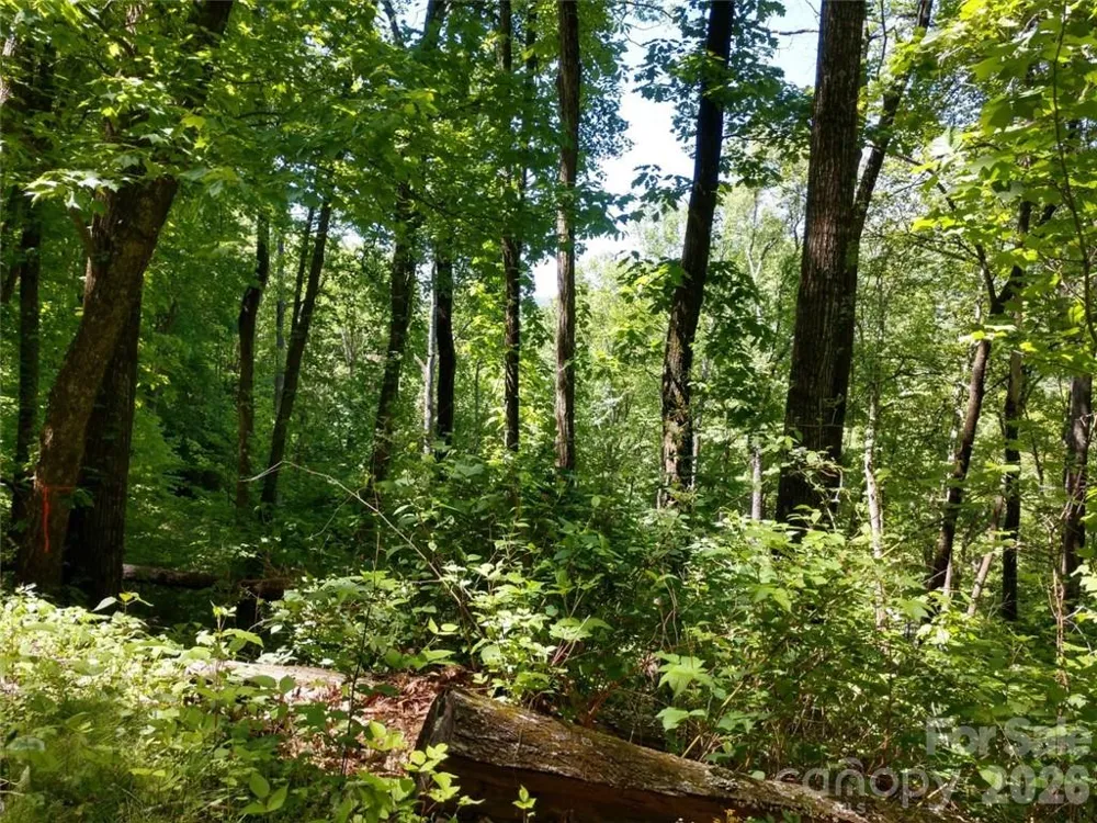 00 Hudson Valley Drive #11 Waynesville, NC 28786