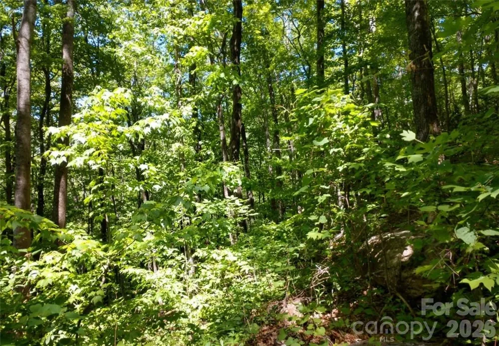 00 Hudson Valley Drive #11 Waynesville, NC 28786