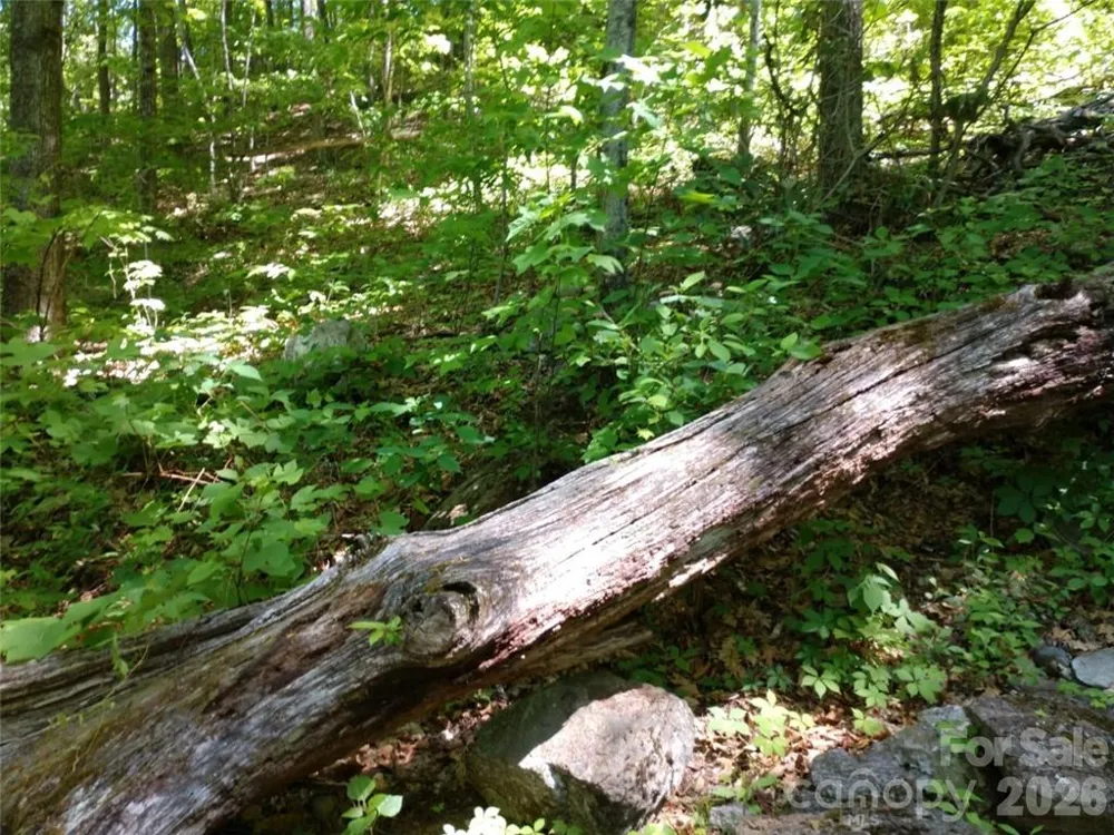 00 Hudson Valley Drive #11 Waynesville, NC 28786