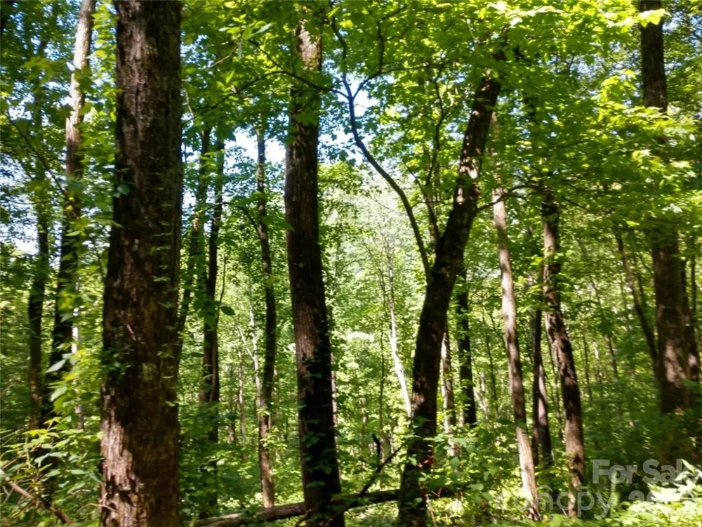 00 Hudson Valley Drive #11 Waynesville, NC 28786