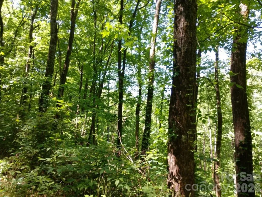 00 Hudson Valley Drive #11 Waynesville, NC 28786