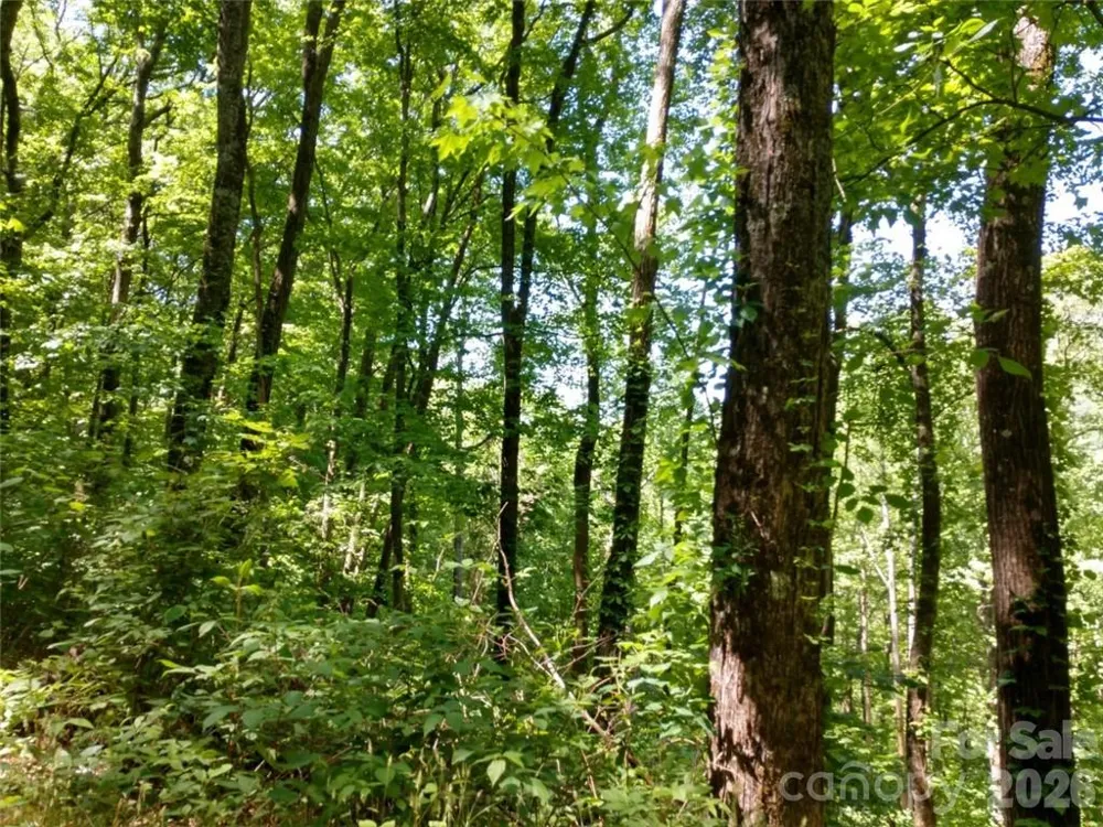 00 Hudson Valley Drive #11 Waynesville, NC 28786