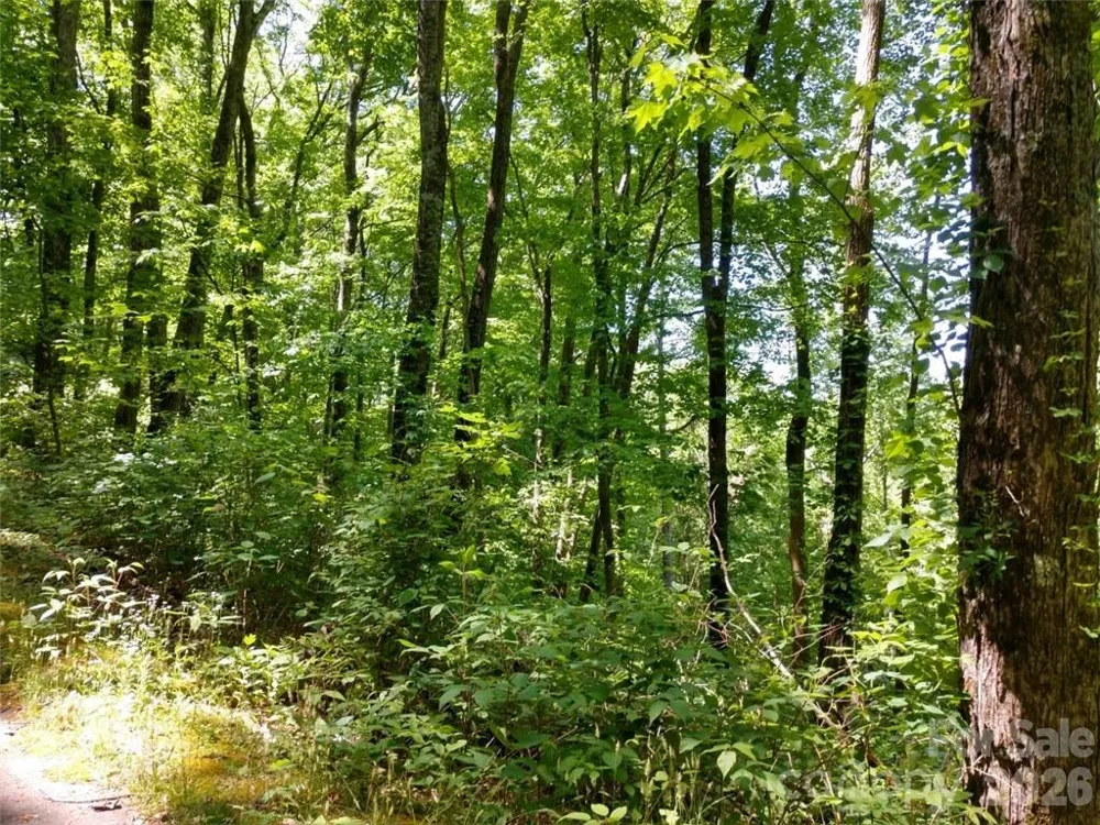 00 Hudson Valley Drive #11 Waynesville, NC 28786